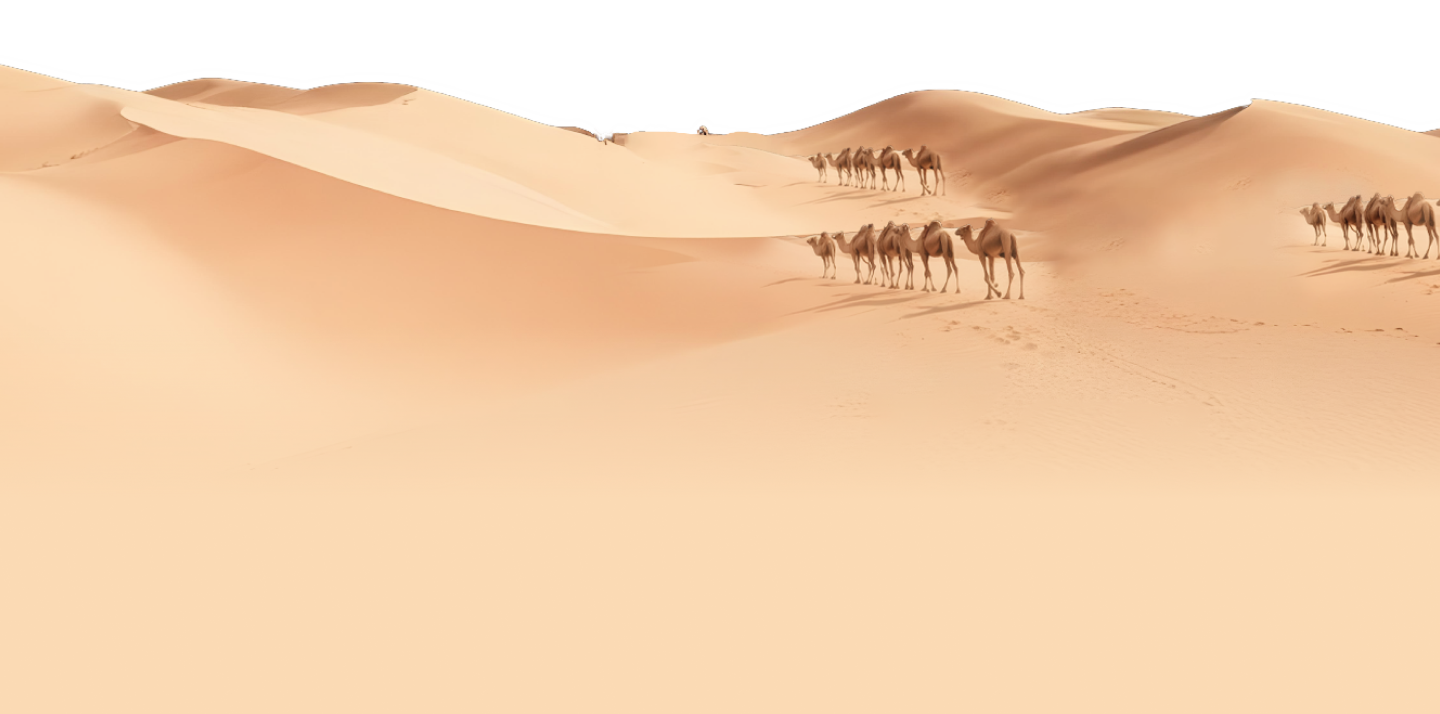 desert